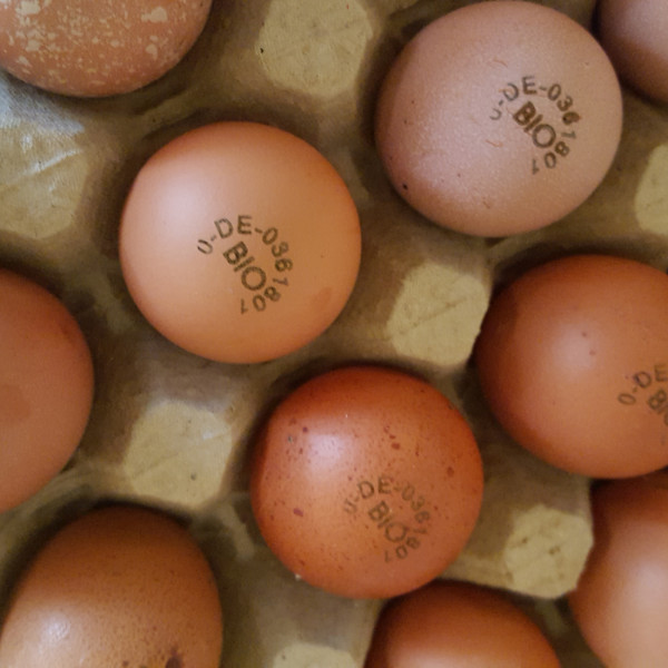 Eier aus Bio-Haltung im Mobilstall