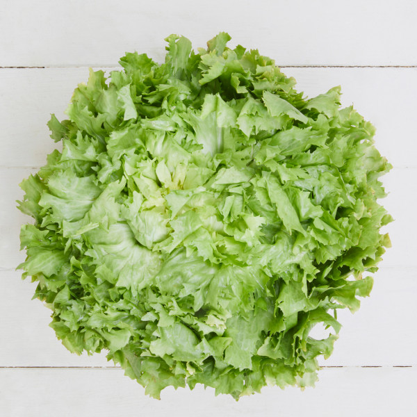 Endiviensalat