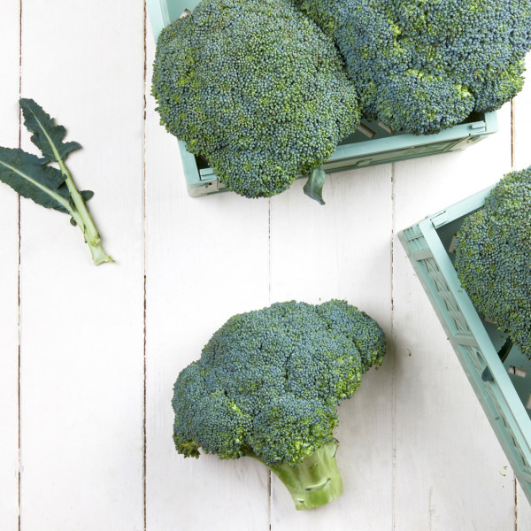 Broccoli