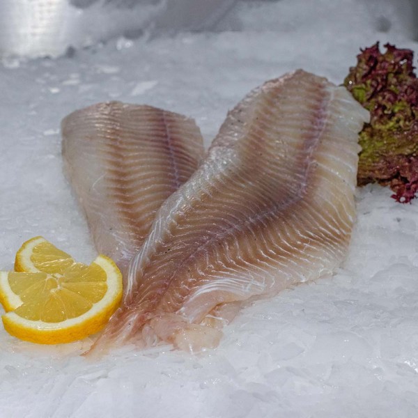 helles Seelachsfilet/ Pollack