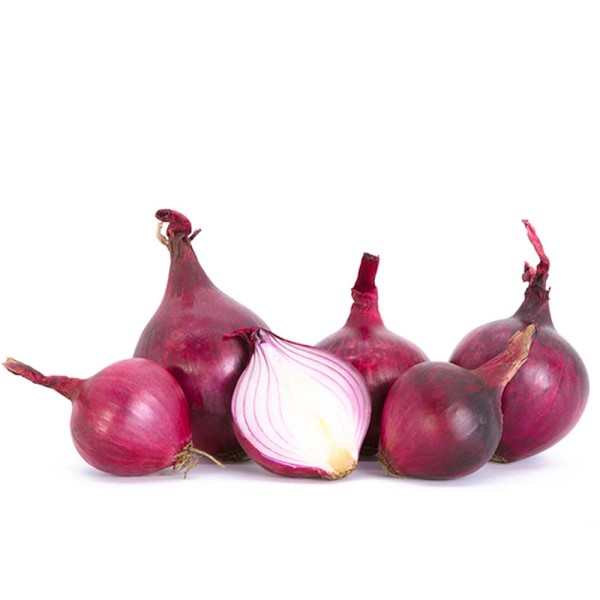 Zwiebeln Rot