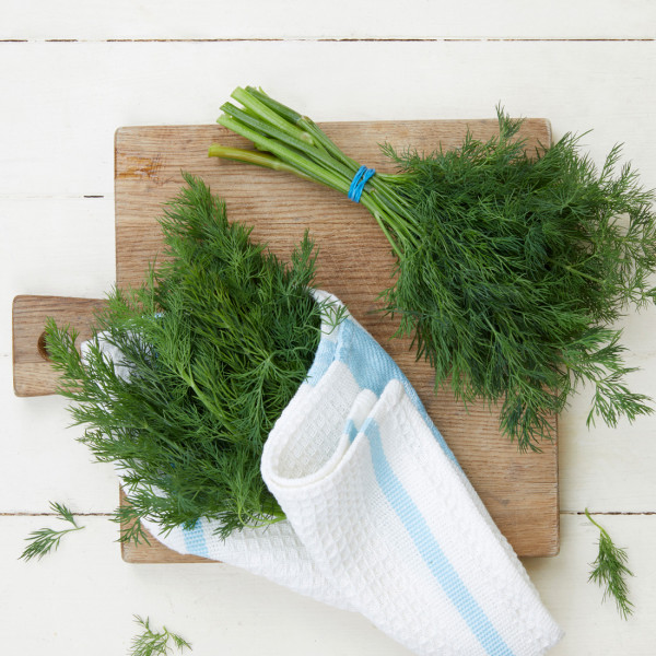 Dill, Haushaltsbunde