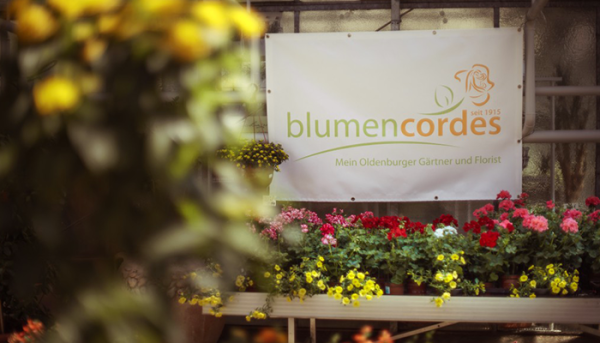 Blumen_Cordes-OldenburgrggHn4XusSdvD