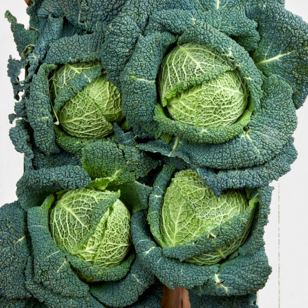 Wirsingkohl