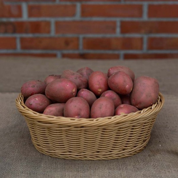 Kartoffel Heiderot