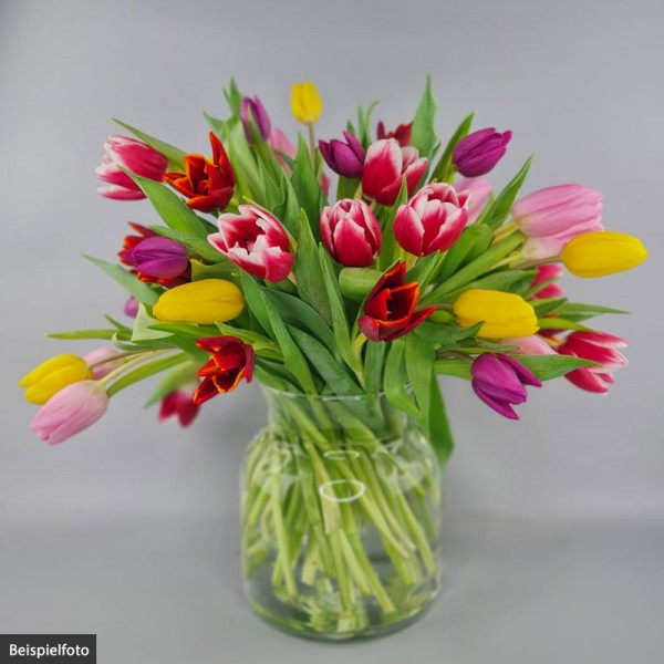 Bunter Tulpenbund (50er-Mix)