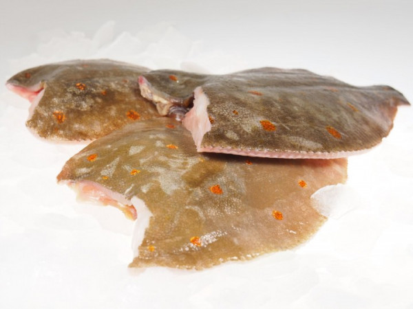 Scholle pfannenfertig frisch (200 g)
