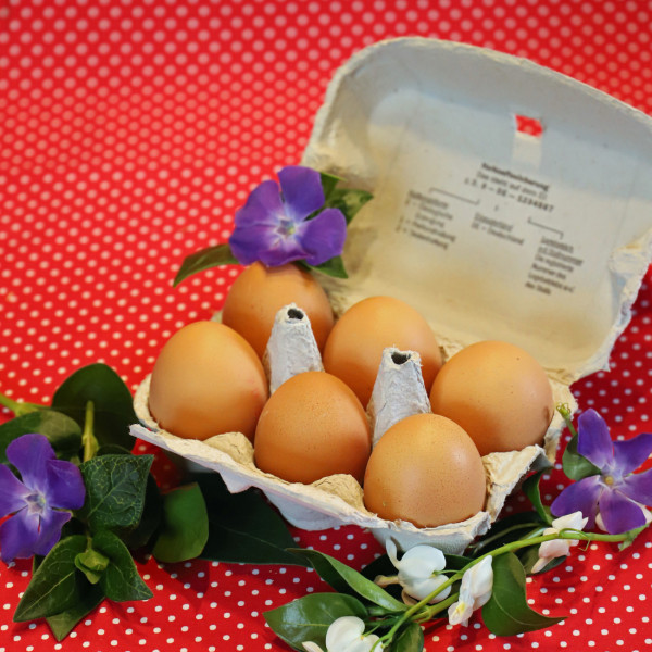 Eier 6er aus Bodenhaltung