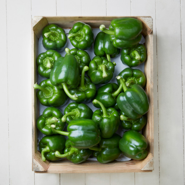 Paprika (grün)