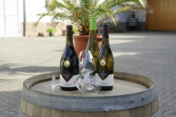 Weinpaket, 6 Flaschen, gemischt