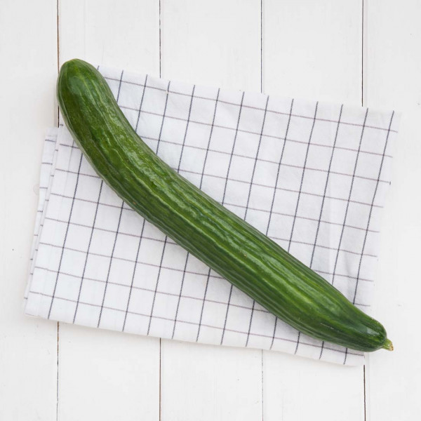 Gurke