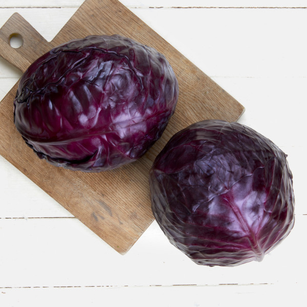 Rotkohl