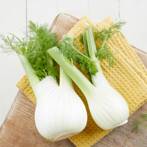 Fenchel
