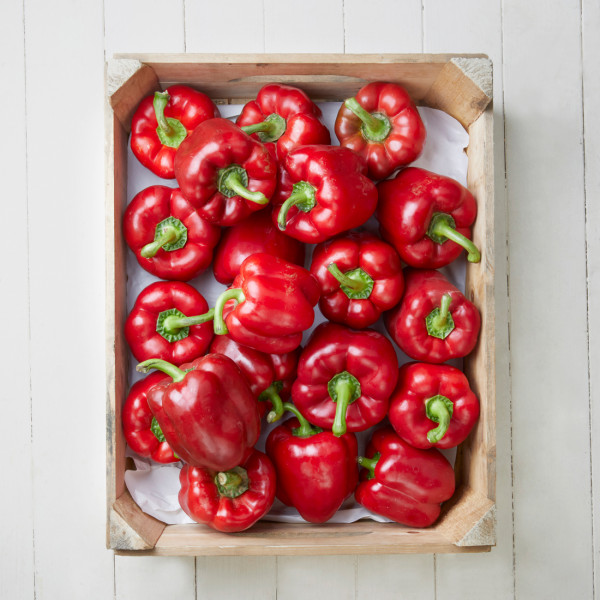Paprika (rot)