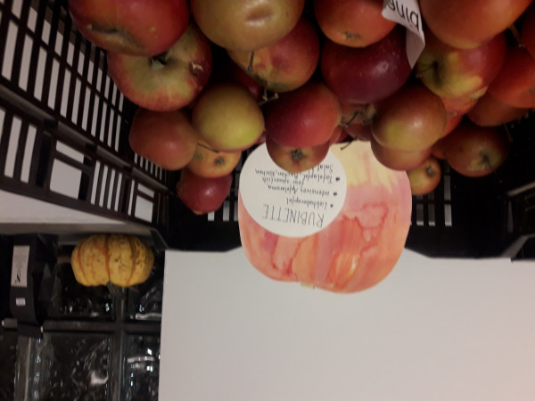 Rubinette aus Altenoythe, Äpfel 2kg