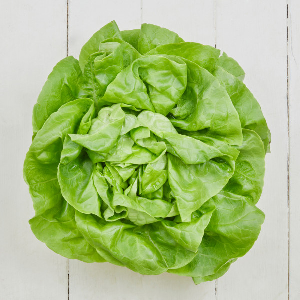 Kopfsalat
