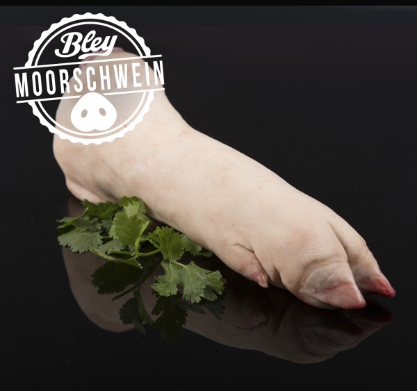 Moorschwein Pfoten