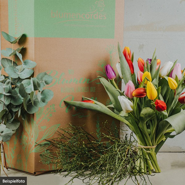 DIY-Tulpenbox