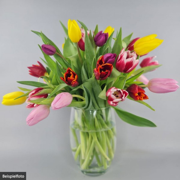 Bunter Tulpenbund (30er-Mix)