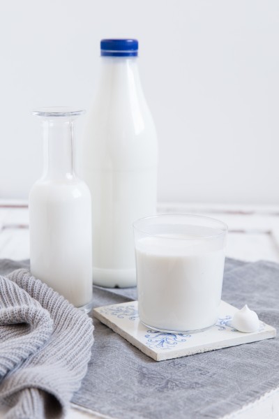 Frische Büffel-Milch