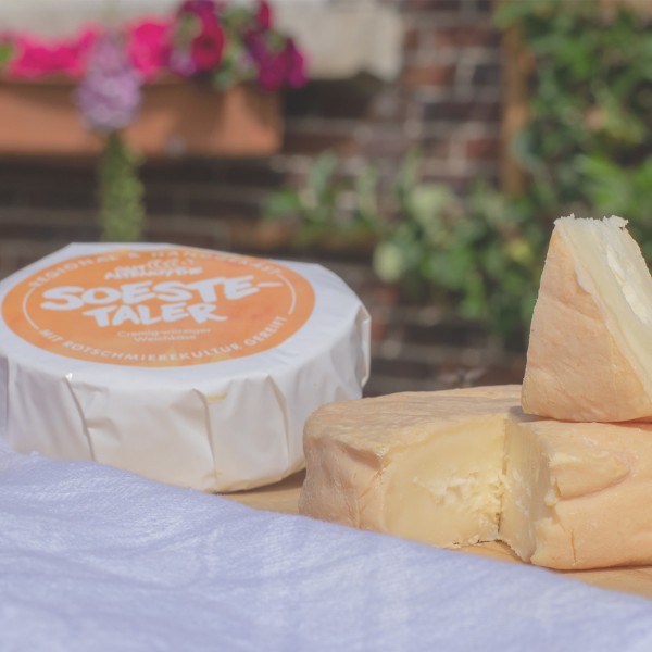 Soestetaler Weichkäse