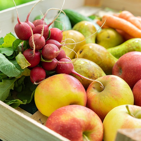 Obst und Gemüse Snackkiste vom EytjeHof